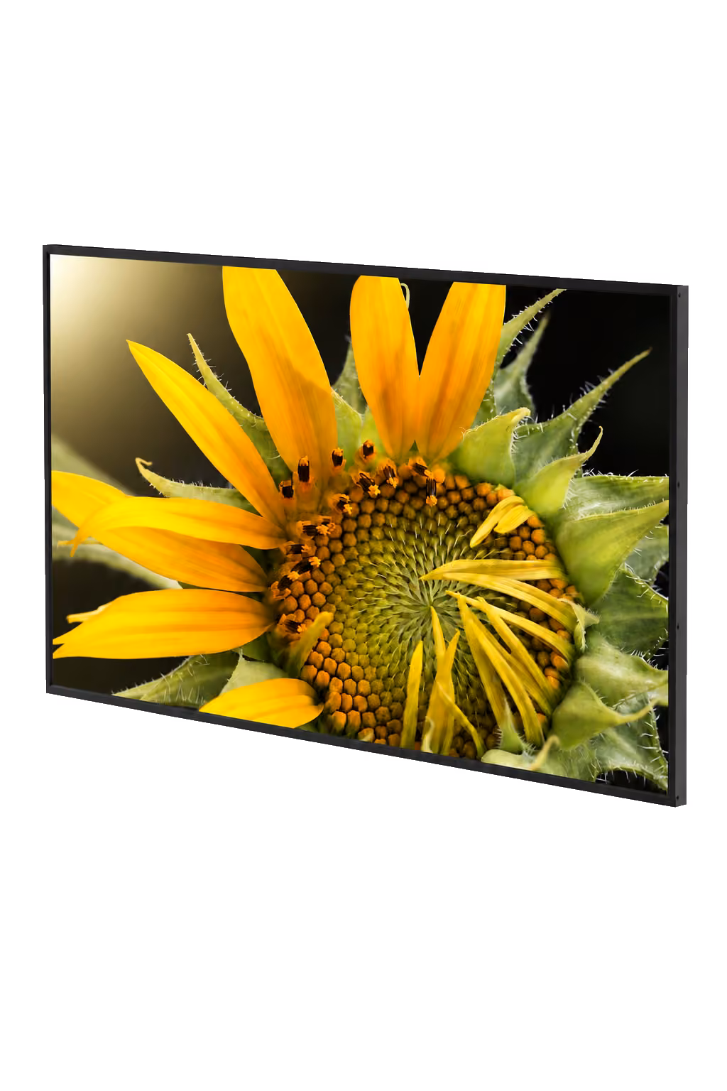 TV displej 43″ — celé vyobrazení
